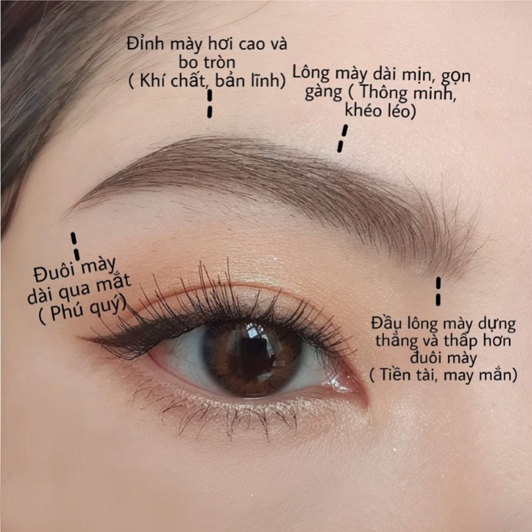 CHÂN MÀY PHONG THỦY - VẺ ĐẸP THAY ĐỔI VẬN MỆNH